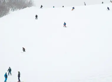 Descente d'une piste de la station de ski de Hakuba Valley