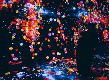 Teamlab flower show