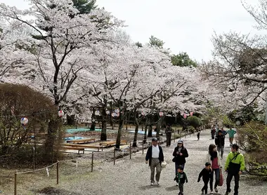 Kairakuen, Ibaraki Kairakuen, Ibaraki