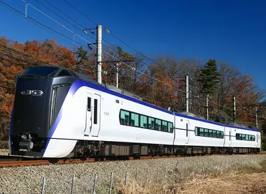 Fuji Excursion Limited Express Train