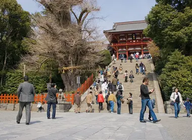 Tsurugaoka Hachiman Jingu