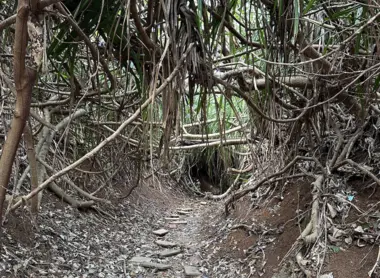 mermaids grotto okinawa entrance