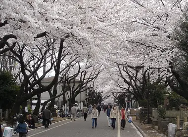 Yanaka Cemetery, Nippori