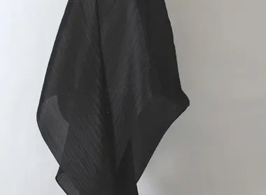 Pleated piece by Issey Miyake Pleated piece by Issey Miyake