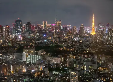 Tokyo from Yebisu Garden Place Tower