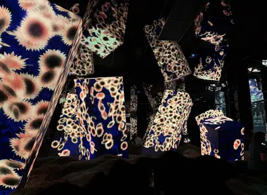 TeamLab Kyoto