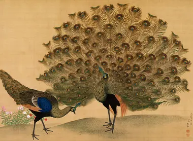 Maruyama Okyo, Paon (1781) Maruyama Okyo, Paon (1781)