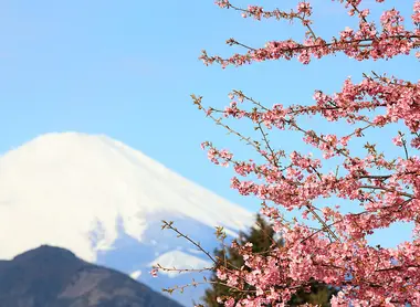 Mount Fuji from Nishihirabatake Park in Kanagawa