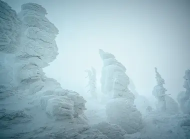 "Snow Monters" at Zao