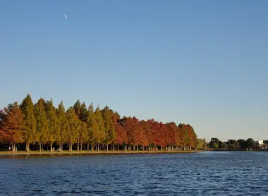 Mizumoto Park, Tokyo