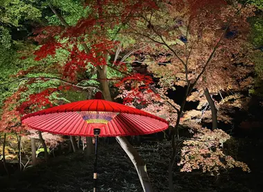 Rikugien Autumn Illumination