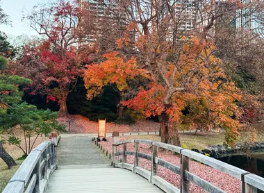 Bridge by Nakajima-no-ochaya