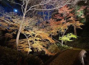 Rikugien Autumn Illumination