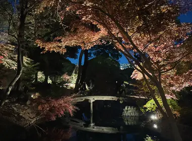Rikugien Autumn Illumination