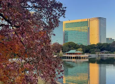 Nakajima-ocha-ya with the Conrad Tokyo in the background