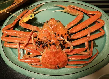 Echizen Crabs from Fukui