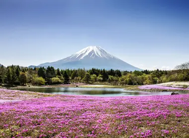 Mont fuji