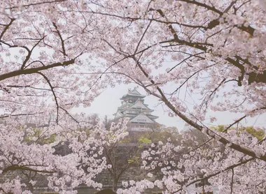 Château de Hirosaki