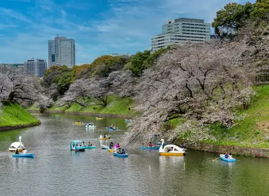 Chidorigafuchi (Tokyo)