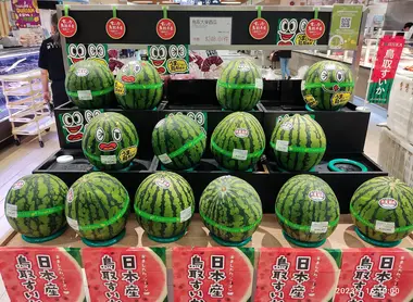Watermelon in Japan