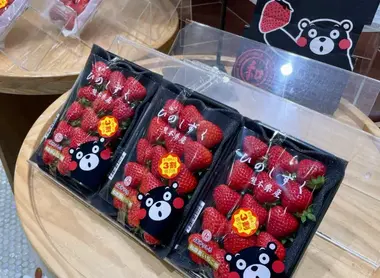 Kumamoto strawberry