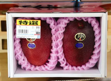 Mangoes