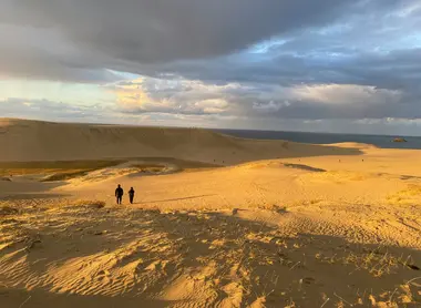 Dunes de Tottori 