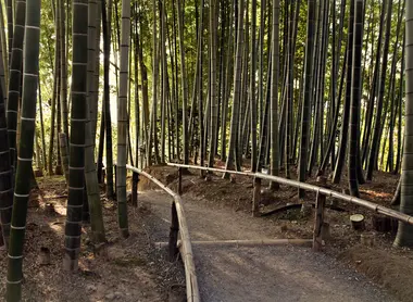 Bambouseraie du Kodai-ji