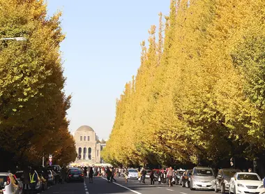 Meiji Jingu Gaien