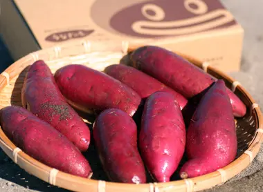 Japanese Sweet Potatoes