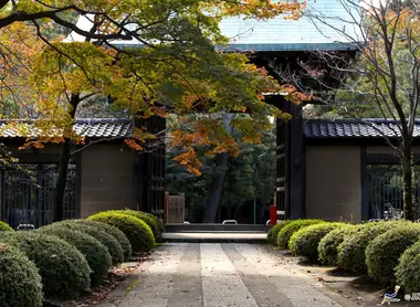 The Gotoku-ji temple has been built by using a cat that would have saved the life of a noble. Since the manekineko is one of Japan FIG.
