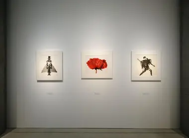 Le centre 21_21 Design Sight est un musée inclassable situé à Minato.