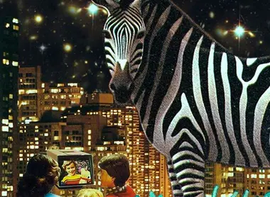 From electro to disco, techno music genre, it means any bar Bonobo Shibuya.