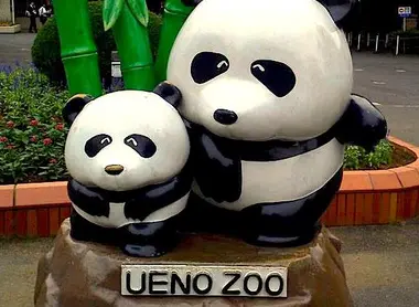 Le zoo d'Ueno a été le premier zoo japonais à recevoir un couple de panda chinois.
