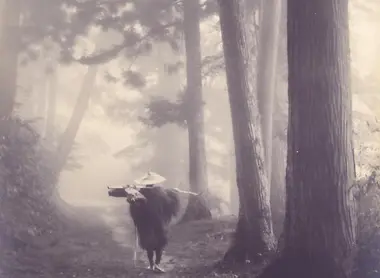 Photo issue du Tokyo Metropolitan Museum of Photography à Meguro.