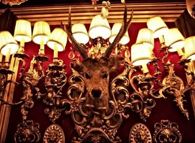 A deer's head adorns a wall of the nightclub Trump Room, as eccentric as Shibuya.