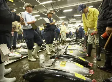 Le marché de Tsukiji, ouvert pour encore quelques semaines.