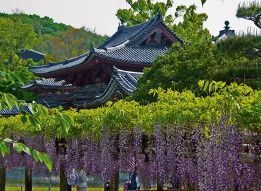 Le Byôdô-in est considéré comme l’expression magnifiée de l’art aristocratique de l’époque Heian (794-1185).