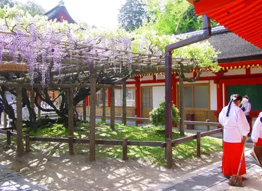 Il santuario Kasuga Taisha Il santuario Kasuga Taisha