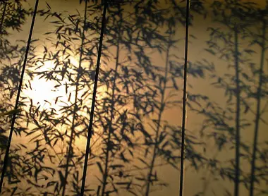 I visitatori vengono al Museo Nezu sia per contemplare la bellezza del giardino che per scoprire le opere d'arte.