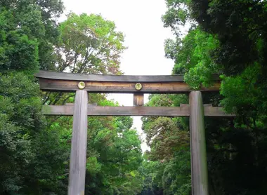 Pour accéder au sanctuaire Meiji-jingu, il faut traverser un bois de cent mille arbres et passer sous le grand torii.