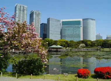 « Site historique spécial », le jardin Hama-Rikyu Onshi Teien est l’ancienne réserve de chasse des Tokugawa. 