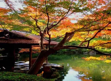 With its small shelters, bonsais by trees and a pond, garden Happo-reveals her beauty from any angle of view.