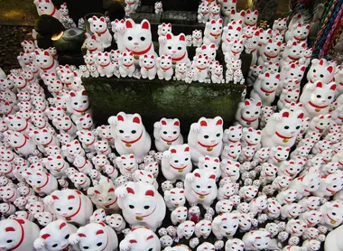 The Gotoku-ji in Tokyo is quite a sprawling complex where the famous cat statuettes focus on a single display.