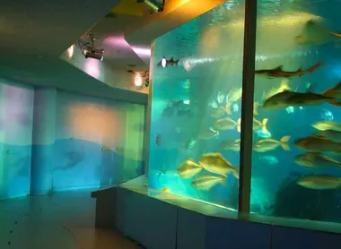 Miyajima Aquarium