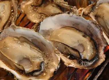 Oysters Miyajima