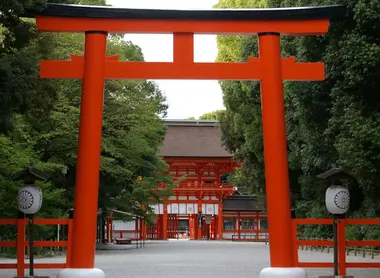Torii del Shimogamo-jinja. Torii del Shimogamo-jinja.