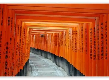 Torii of Fushimi Inari Taisha