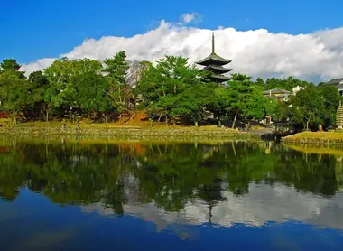 Etang Sarusawa