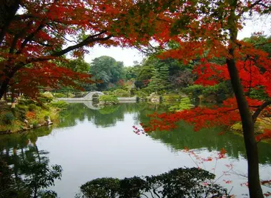 Los arces del parque Shukkei-en.
